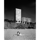 Illustration for article titled Trove of Architectural Photos Shows When LAs Skyline Became Modern